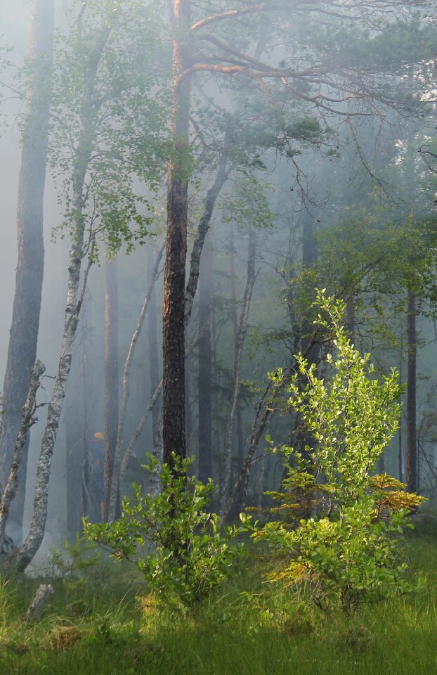 Fire burning smoke