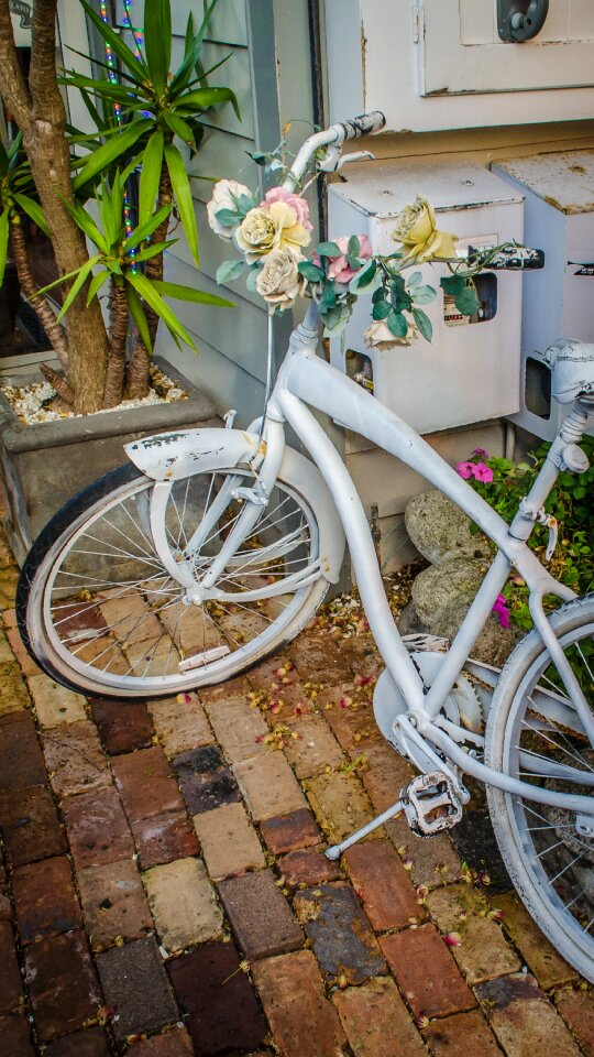 Bike relic brick