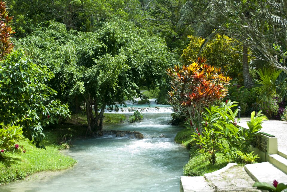 Stream nature water