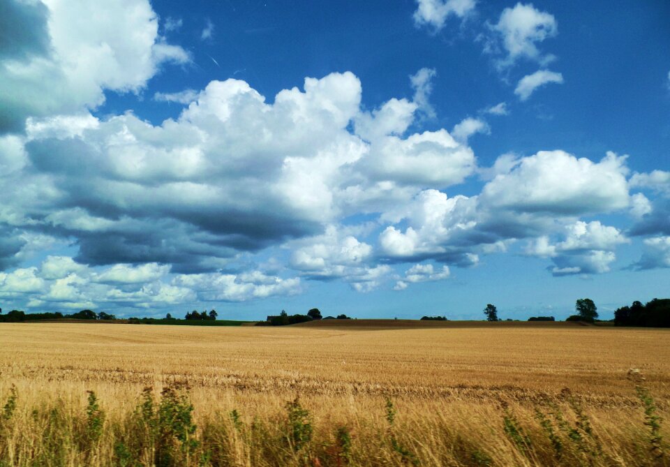 Nature rest north