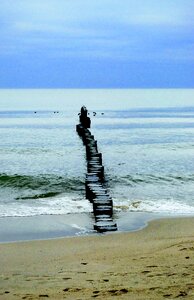The baltic sea seashore grunge