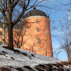 Winter pink sweden photo