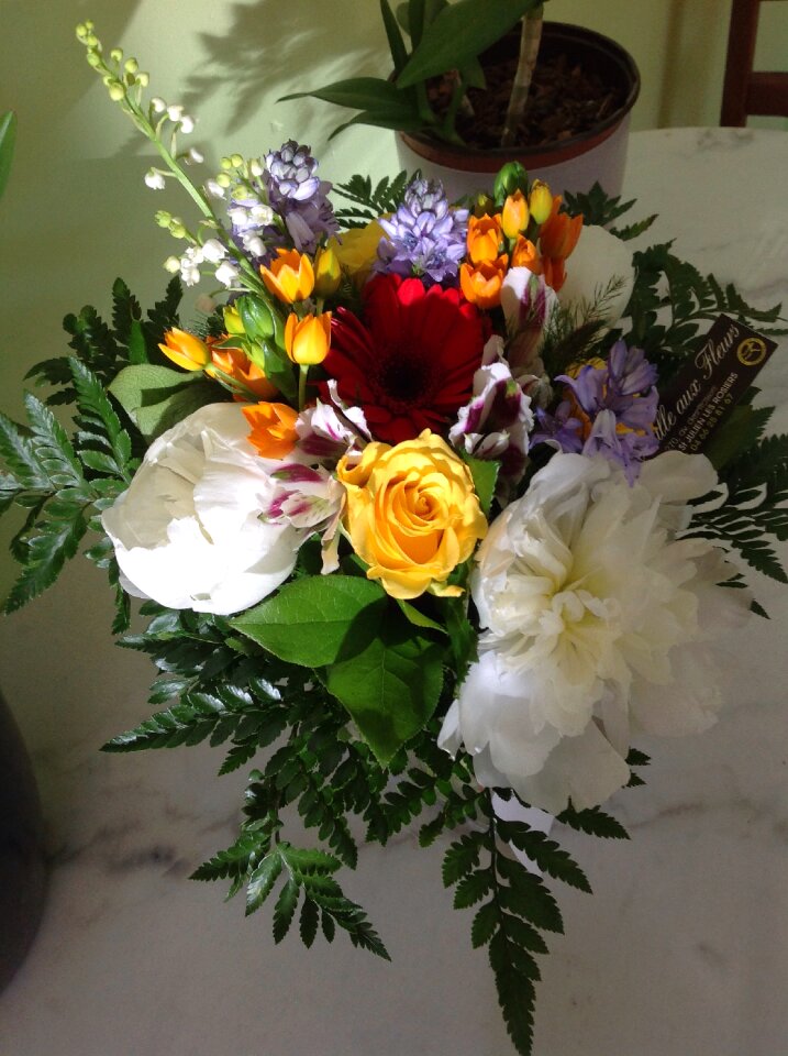 Bloom flora bunch