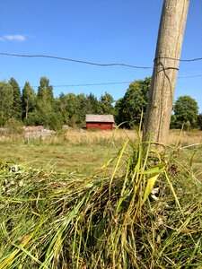 Agriculture culture red cottage photo