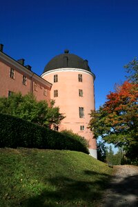 Pink himmel autumn