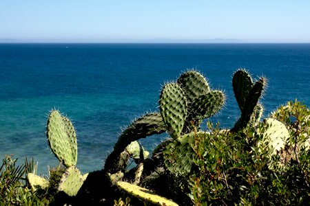 Costa sea spain photo