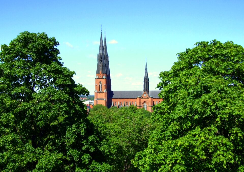 Trees church history