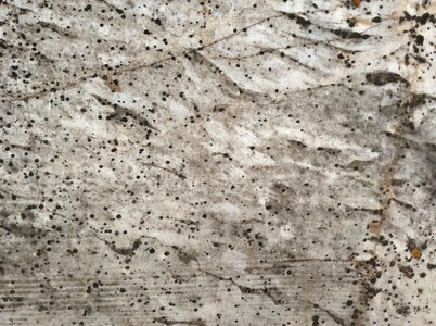 Wall background stone