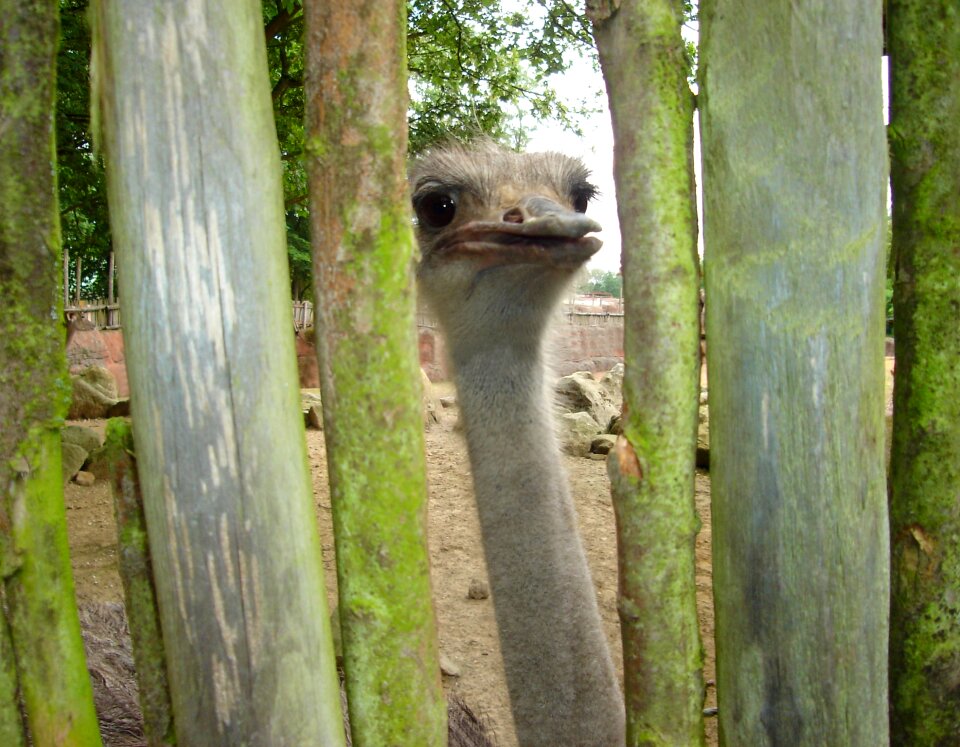 Bill zoo animal world