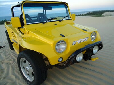 Sports car motor bug