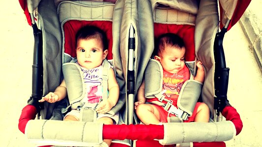 Twins baby beauties photo