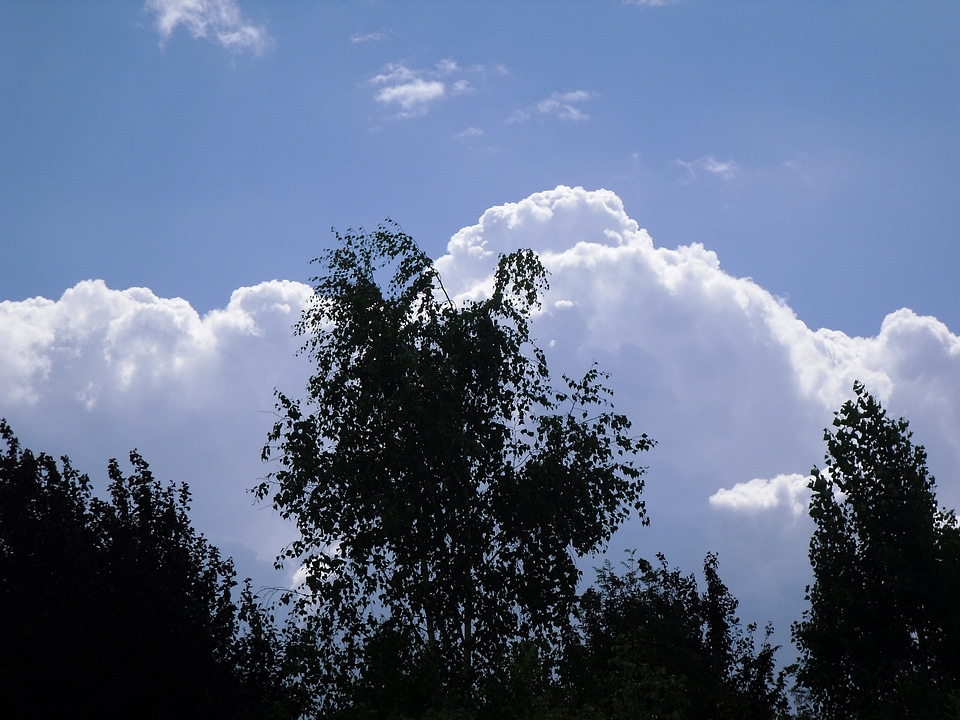 Blue silhouette landscape
