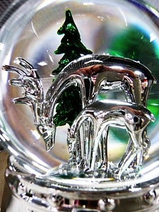 Green holiday merry