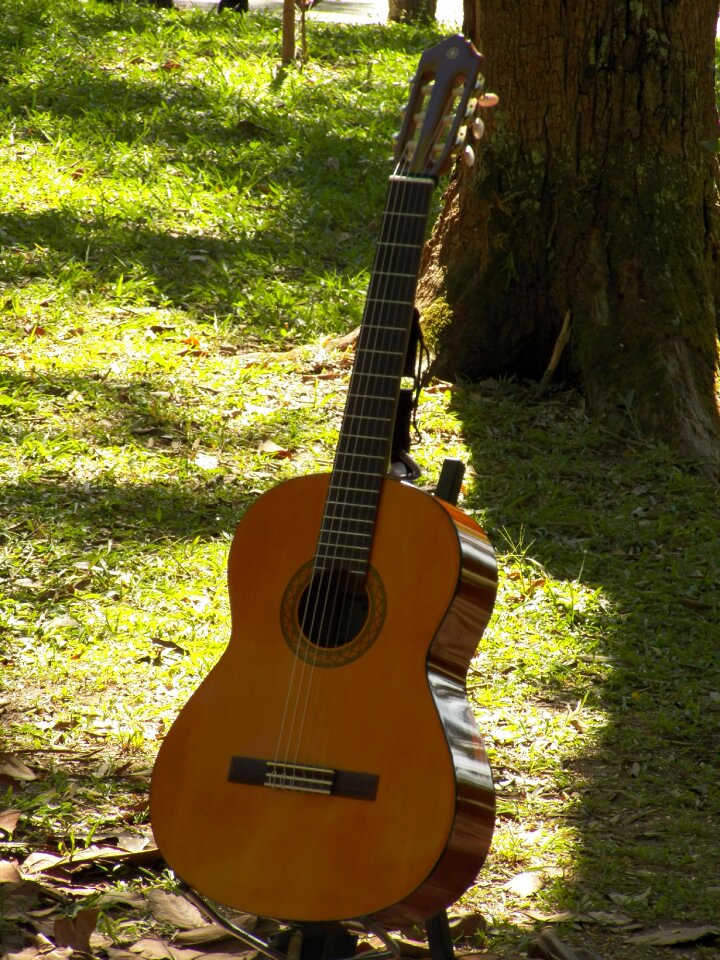 Guitar music musical instruments