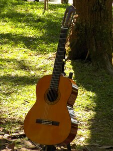 Guitar music musical instruments photo