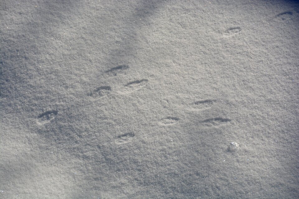 Track winter snow