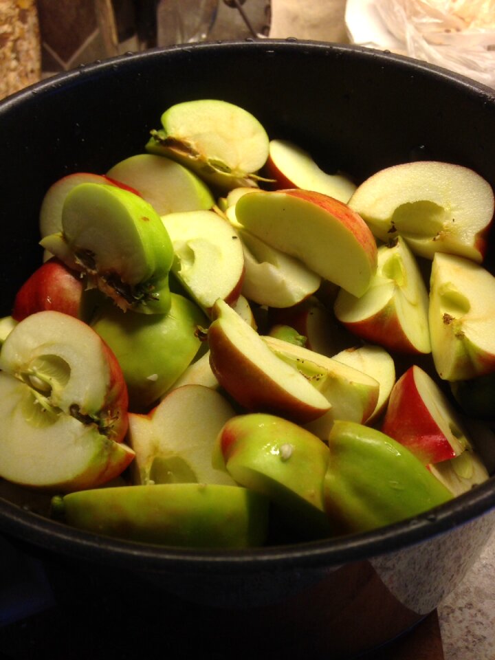 Apple bits fruit eplegele