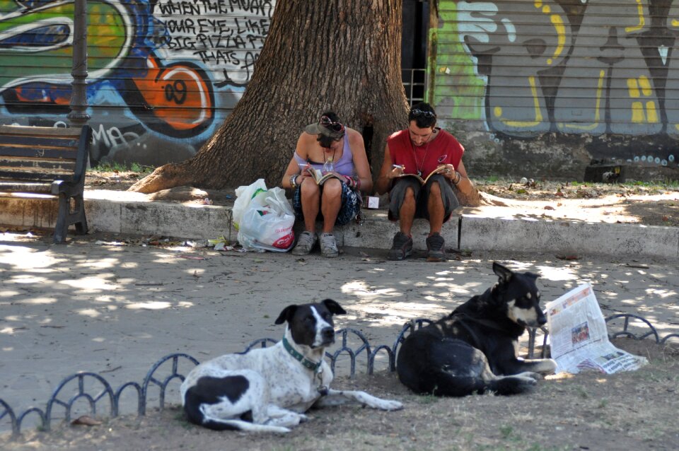 Youth animals living outside