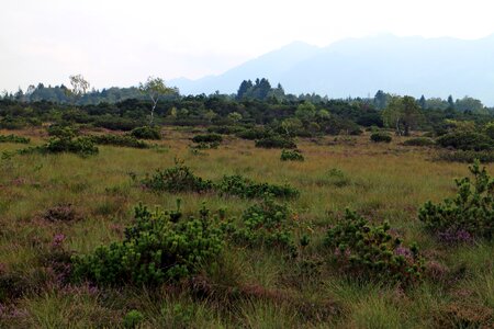 Nature hiking nature reserve