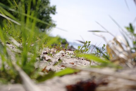 Nature beach archipelago