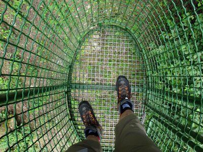 Mountain lift deep view shoes