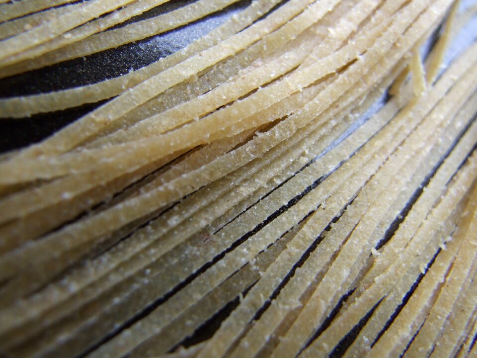 Noodle texture italian