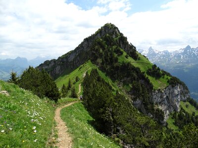 Mountain trail foresight hill