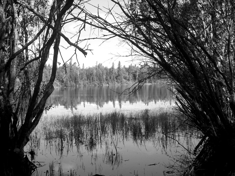 Water tranquil outdoor
