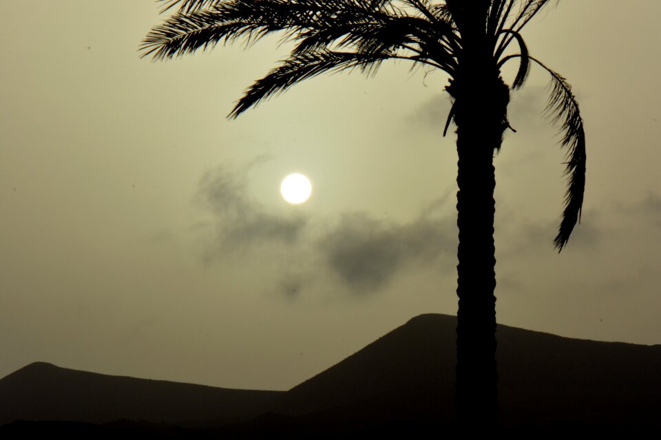 Landscape nature silhouette