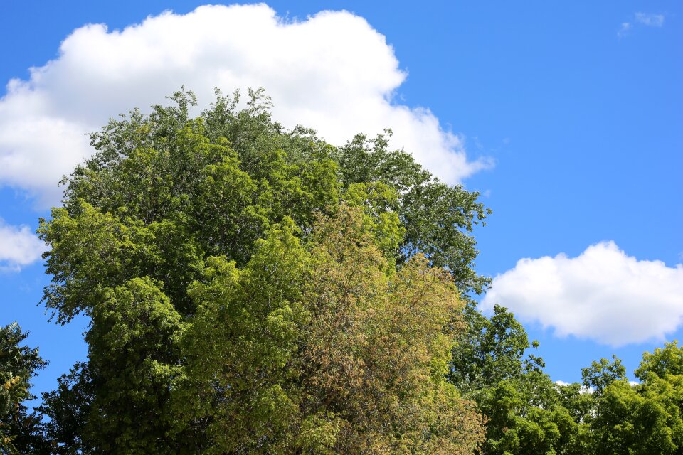 Outdoors green calm