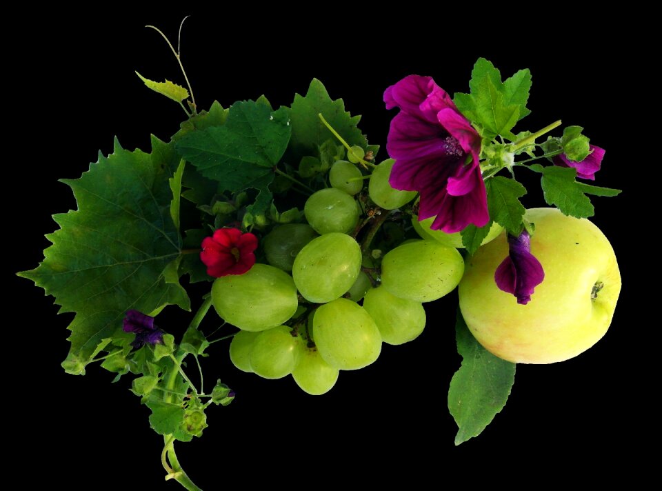 Grape autumn decoration autumn
