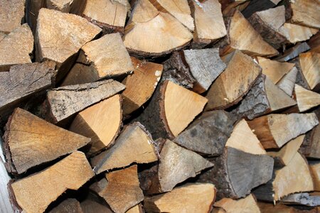 Stack nature firewood