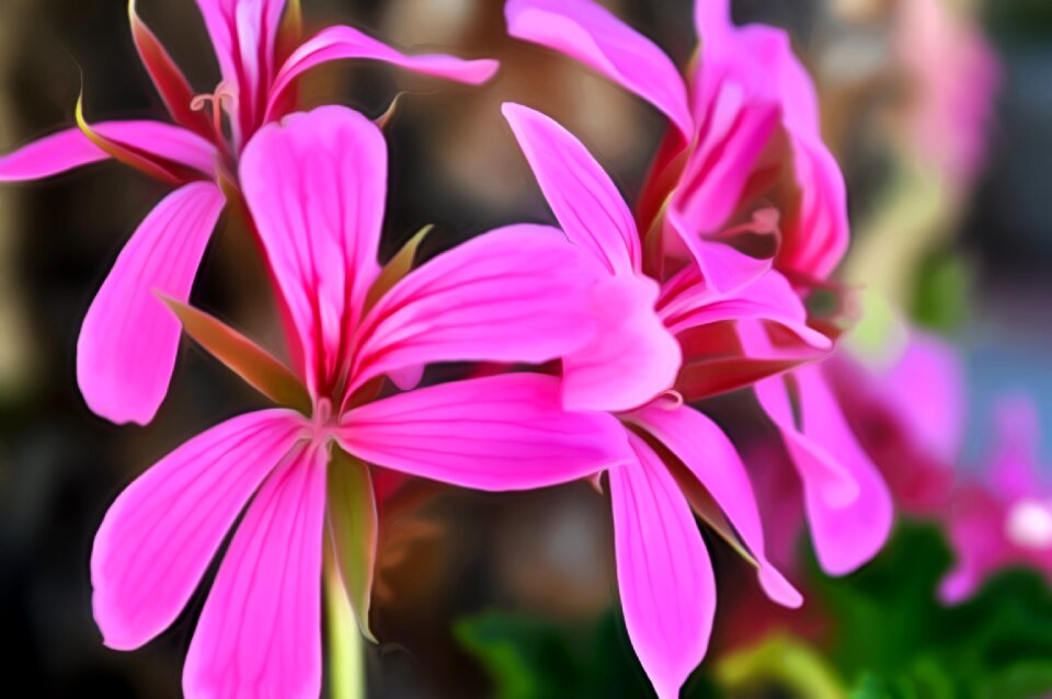 Spring color floral