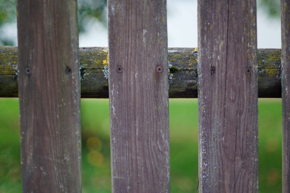 Wood weathered paling