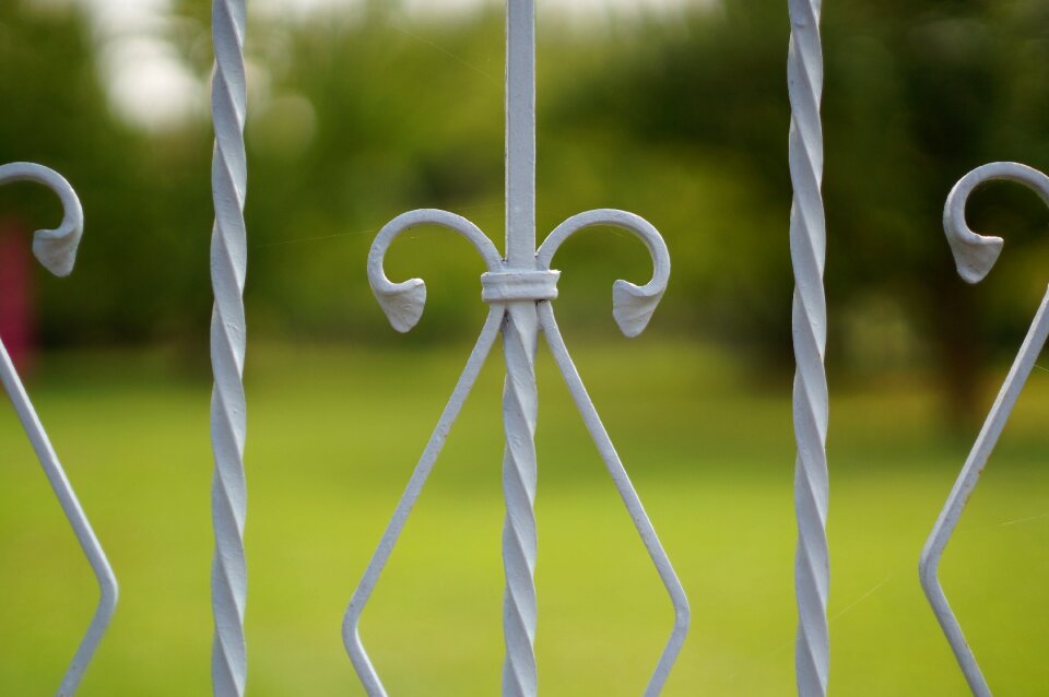Curlicue iron construction garden
