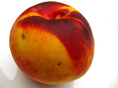 Red juicy ripe