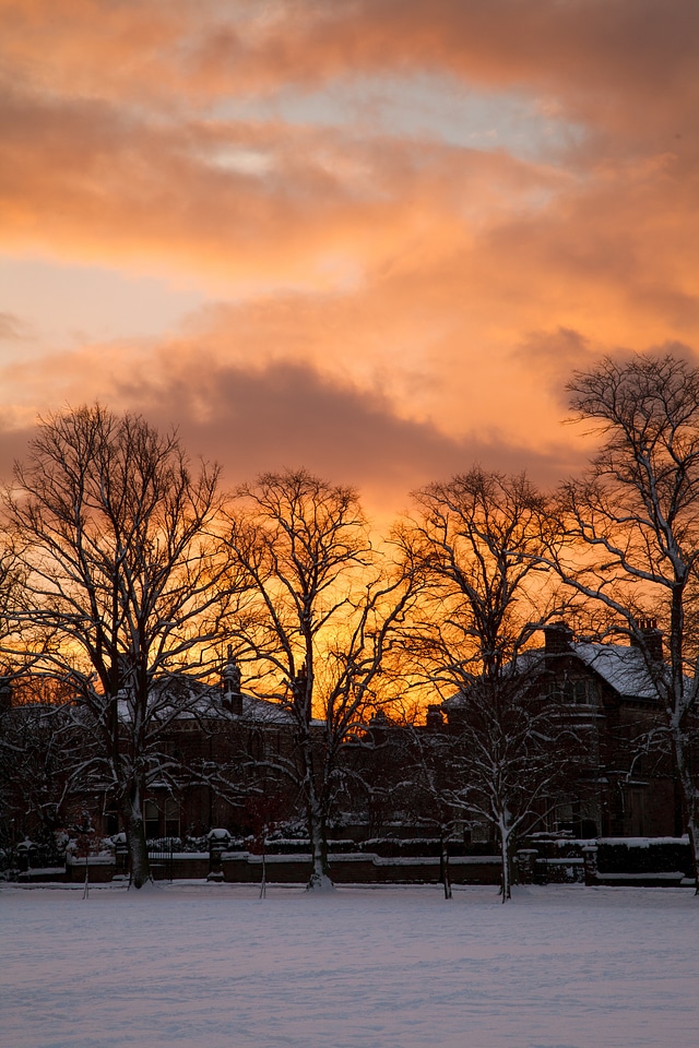 Cold colorful frozen photo