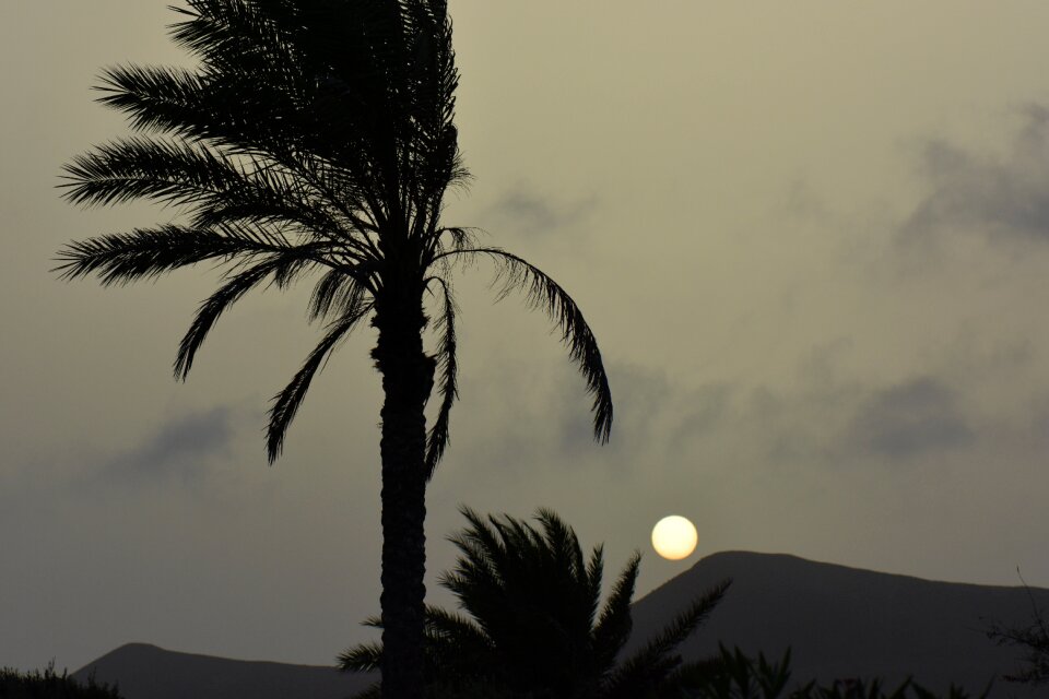 Landscape nature silhouette
