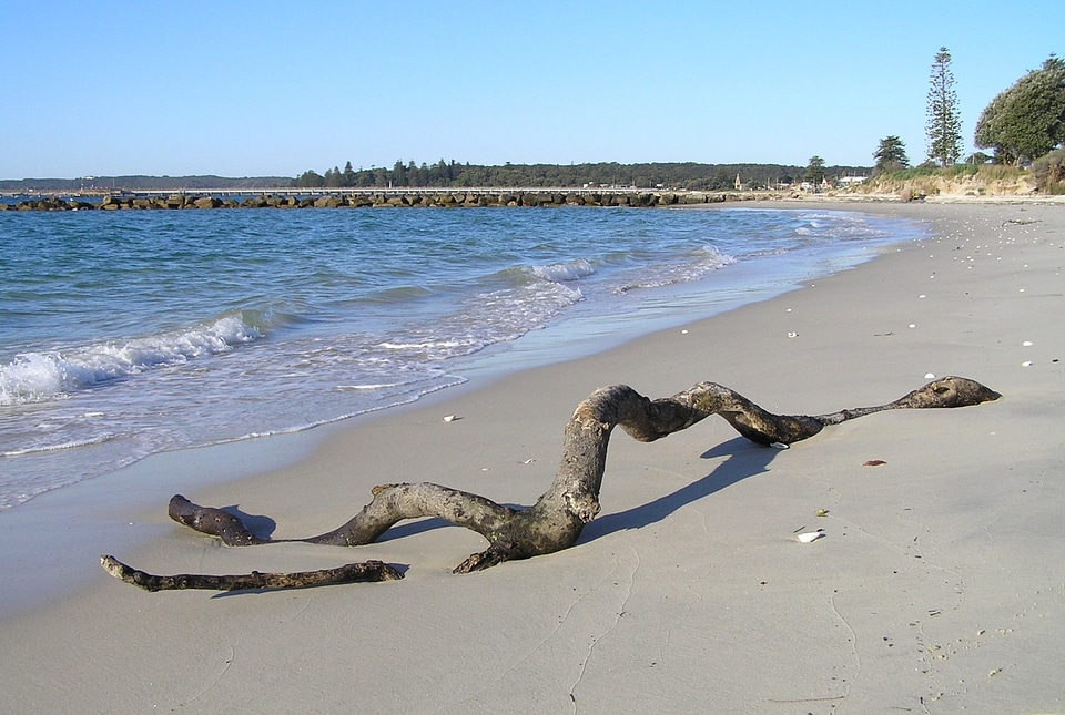 Ocean shore sand