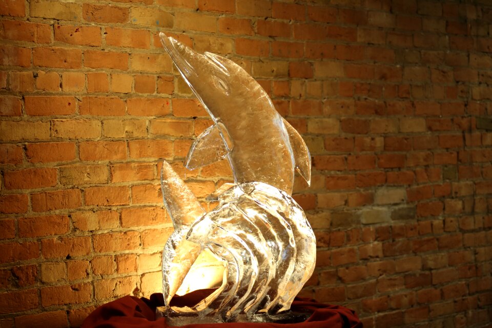 Dolphin carving carved