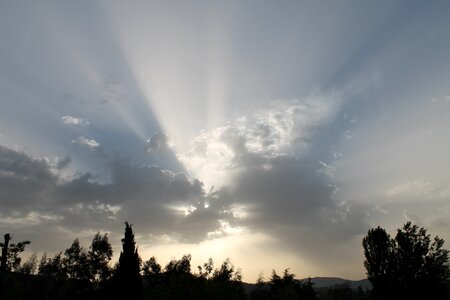 Dawn landscapes backlight