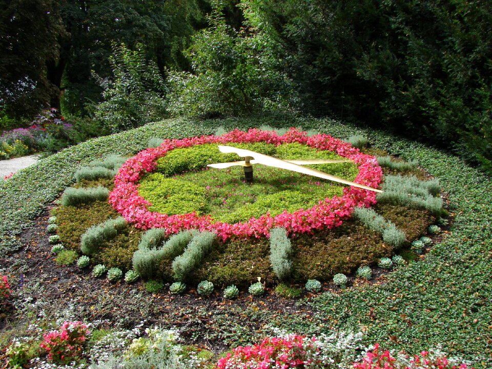 Flowers nature flower bed