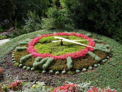 Flowers nature flower bed