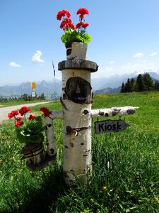 Marking wood flowers photo