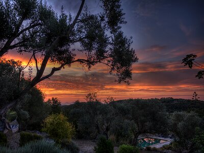 Sun spain nature