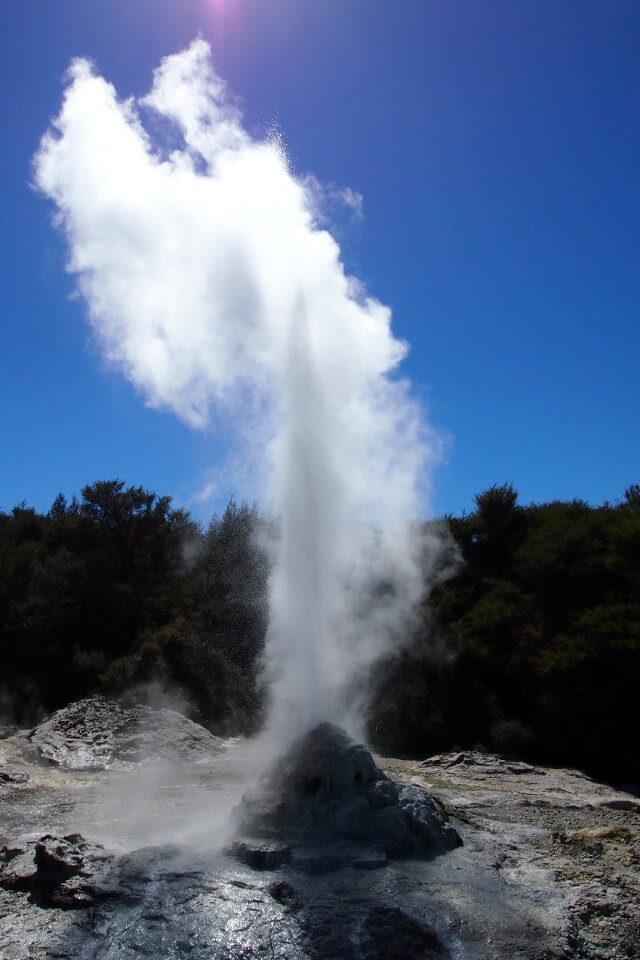 Detergent hot source north island