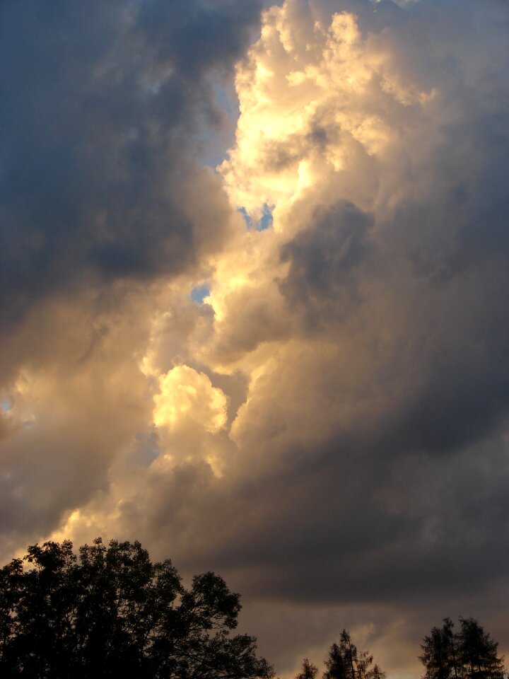 Mood silhouette rays