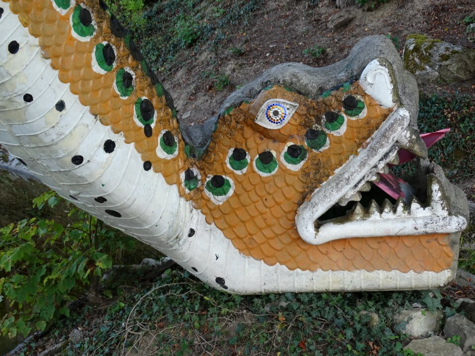 Snakehead reptile animal