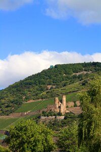 Vineyard castle-bingen landscape