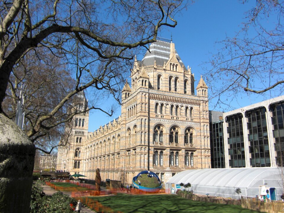 United kingdom museum of natural history museum